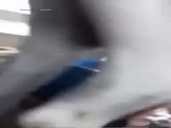 horse cumming in her pussy