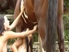 TWO GIRLS SATISFYING STALLION