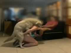 First hubby then dog