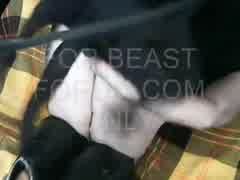 Animal Fucking Skank