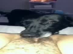 Enjoying tongue