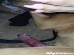 My gf with my bestfriend first-time