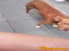 Outdoor oral sex