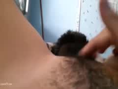 JEUNE zoo  poilue adore se faire lecher la fente