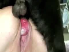 Pullout compilation