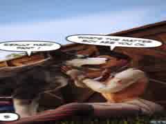 une bonne maitresse suce son chien