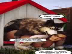 une jolie fille baise  avec dog