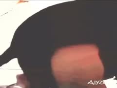 Brazilian mom private time with dog