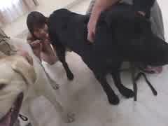 bonne baise zoo japo teen poilue non censurer