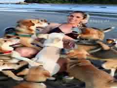 Horny Bitch and Her Dogs